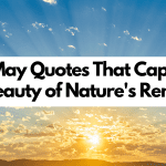 30 May Quotes That Capture the Beauty of Nature’s Renewal