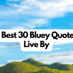 bluey quotes