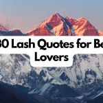 lash quotes